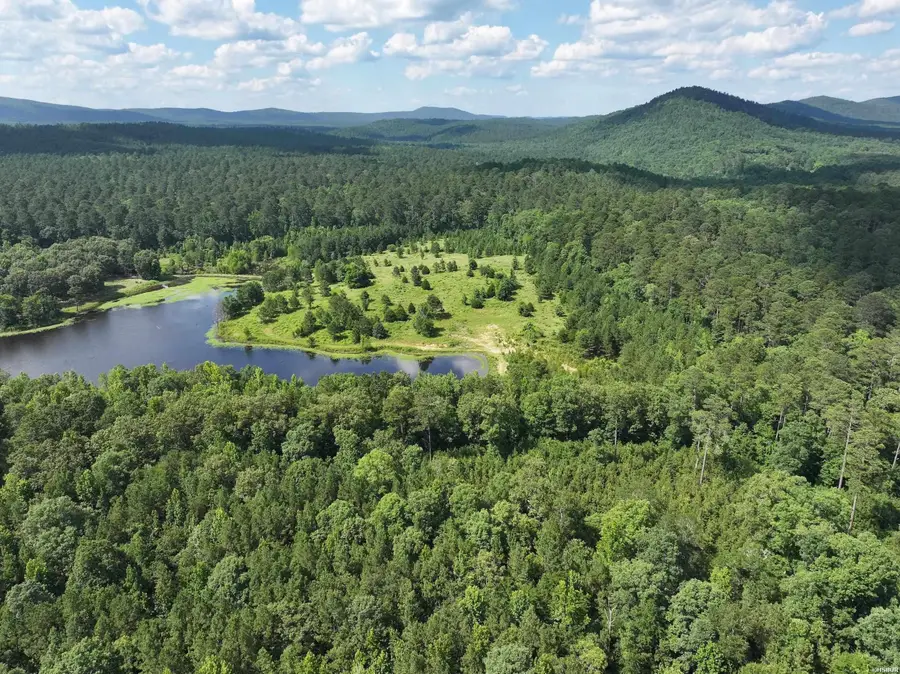 XXX N Bumble Bee Road, Glenwood, AR 71943 - #3