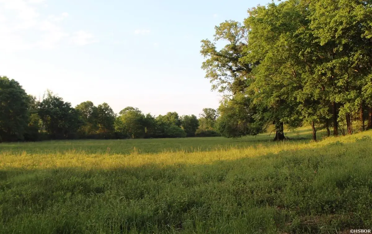 299 tract 2 Harmony Lane #tract 2, Amity, AR 71921 - #1