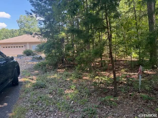27 Finca Place, Hot Springs Village, AR 71909 - #3