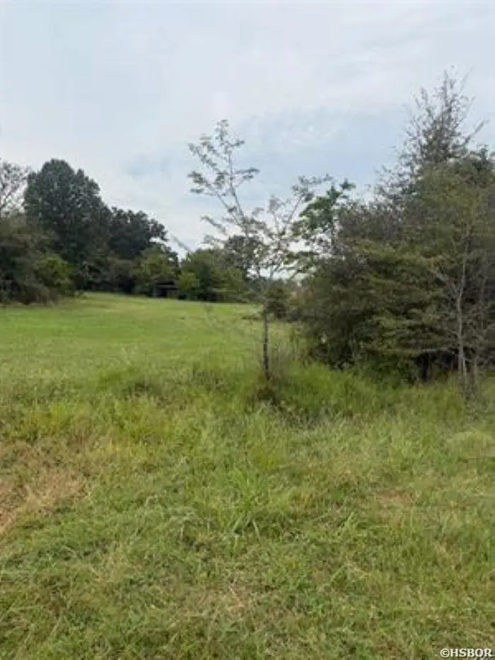602 Stephenson Road, Gurdon, AR 71743 - #3