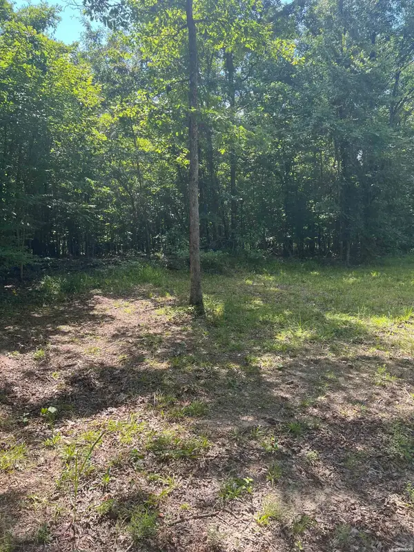 xx Peaceful Hills, Bonnerdale, AR 71933