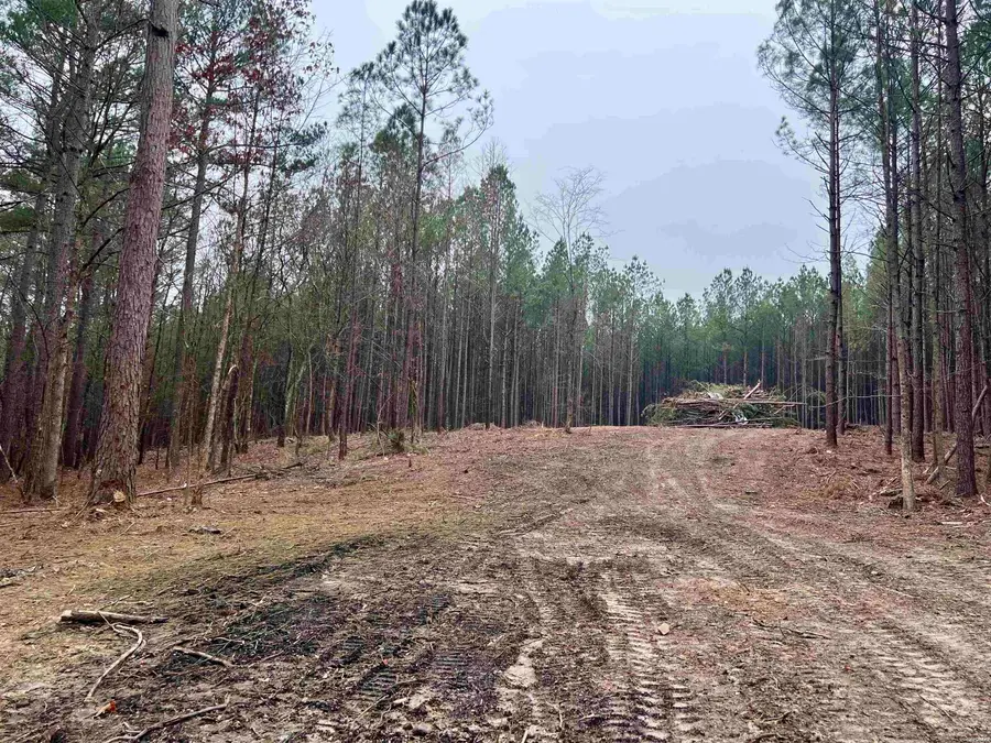 002 Stihl Road #22, Hot Springs, AR 71901 - #2