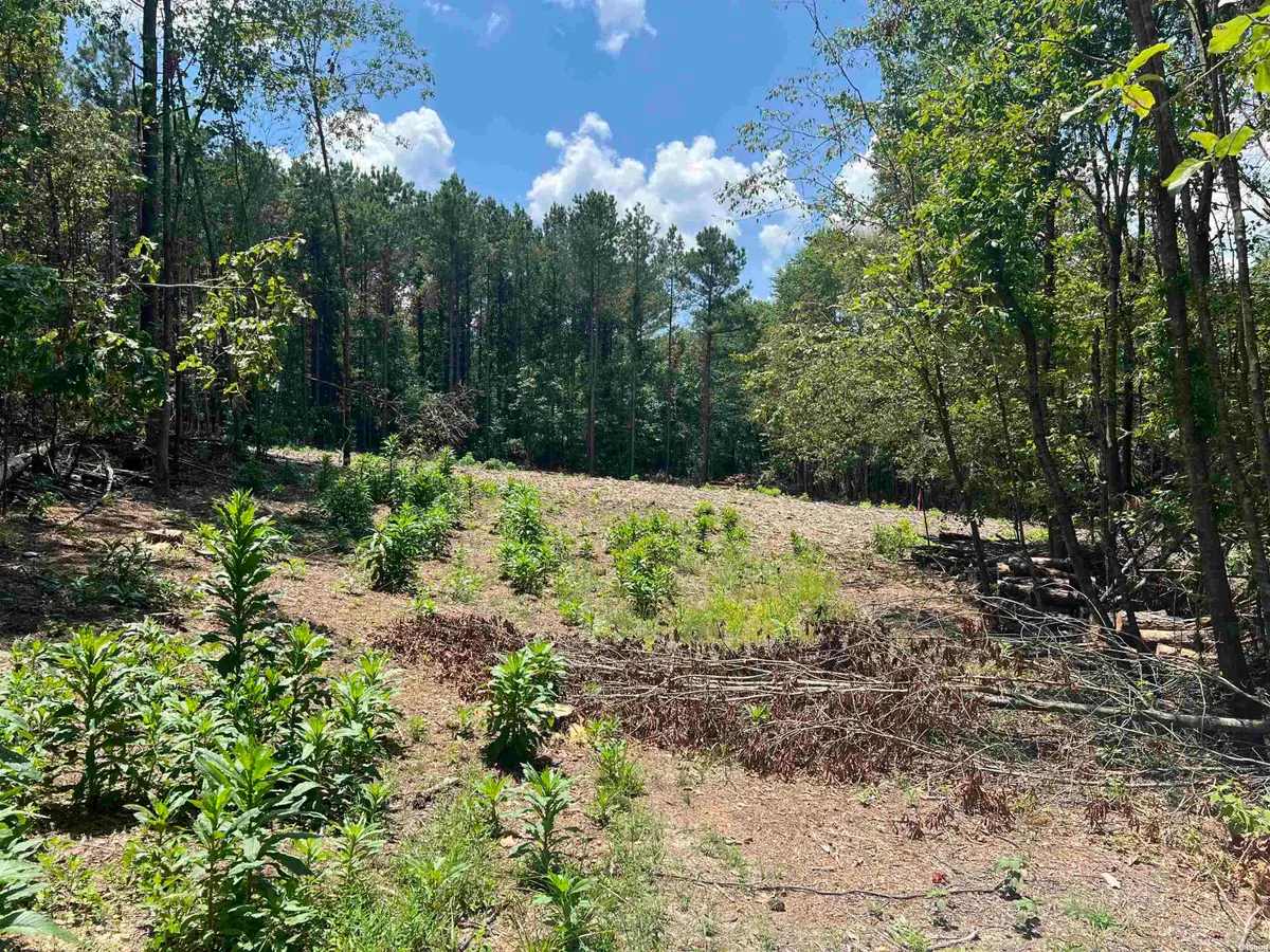 9 Casey, Glenwood, AR 71943 - #1