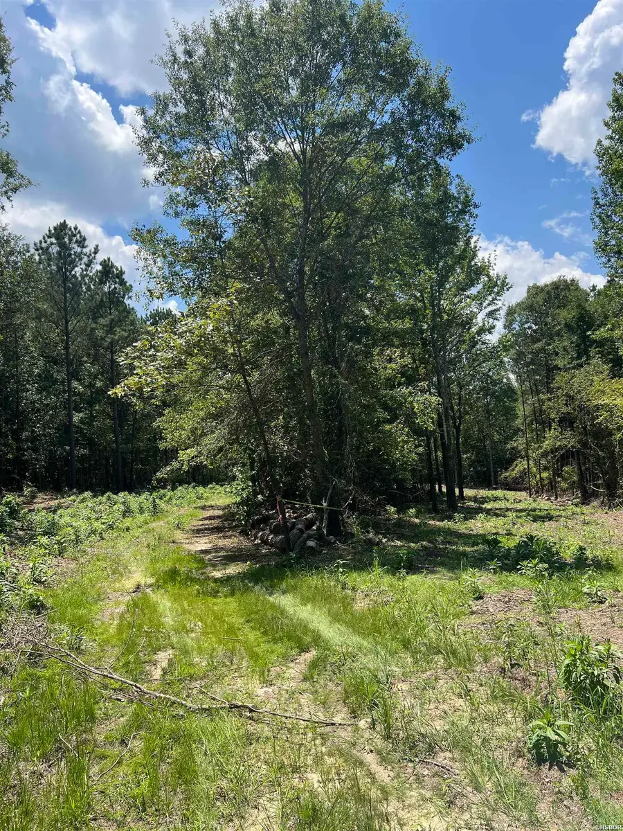 9 Casey, Glenwood, AR 71943 - #2
