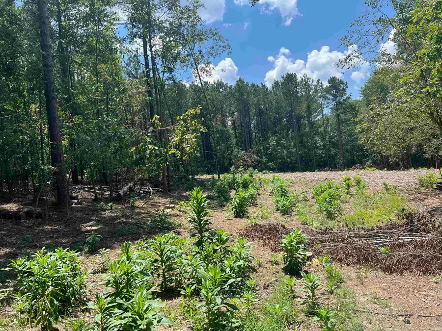 9 Casey, Glenwood, AR 71943 - #3