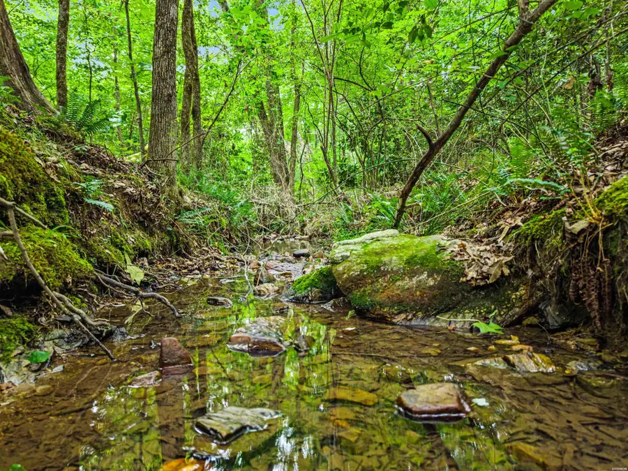 TBD Fox Pass Cutoff, Hot Springs, AR 71901 - #2