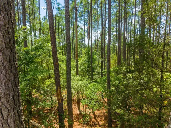 13 Victoria Lane, Hot Springs Village, AR 71909