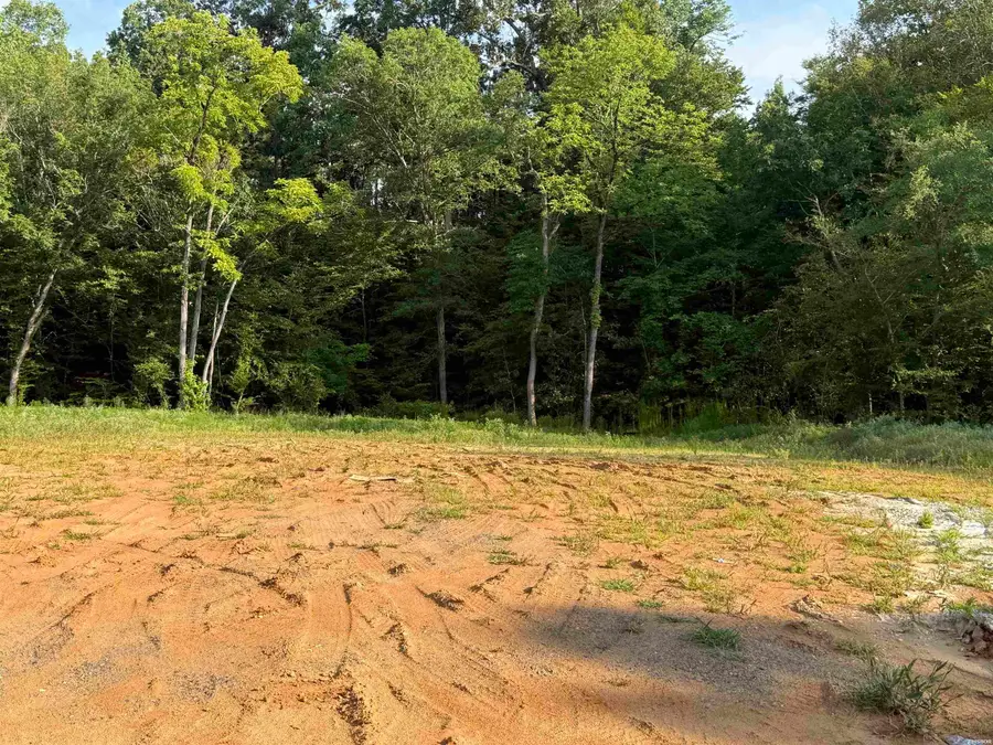 161 Southridge Boulevard, Arkadelphia, AR 71923 - #2