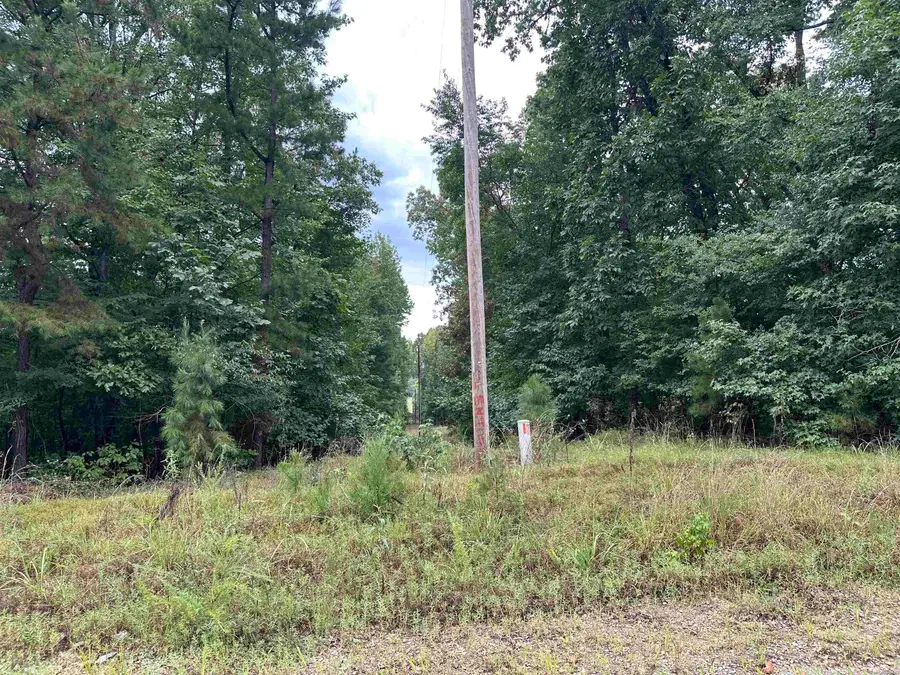 Lot 39 Copenhaver Trail, Fountain Lake, AR 71901 - #3