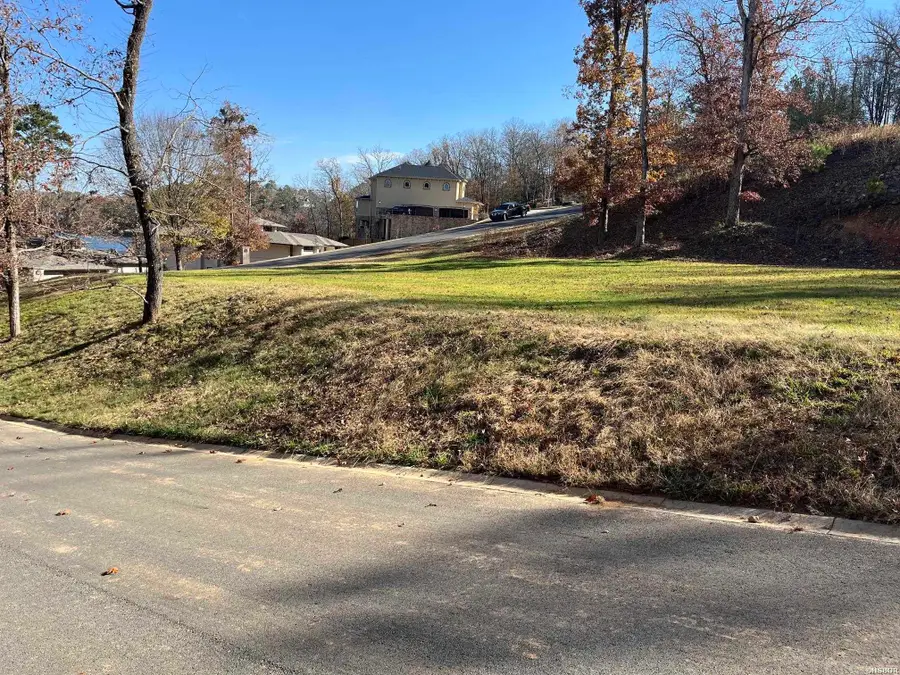 TBD Lake Forest Shores Drive, Hot Springs, AR 71913 - #3
