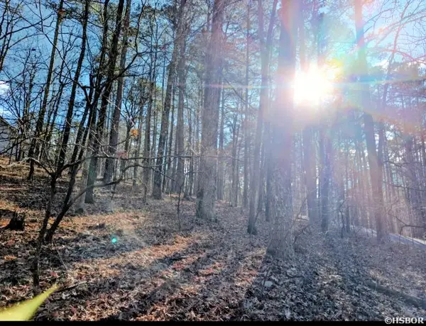TBD Astorga Circle, Hot Springs Village, AR 71909