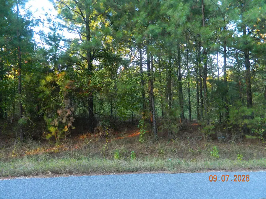 32 Robert E. Lee Drive, Arkadelphia, AR 71923 - #3