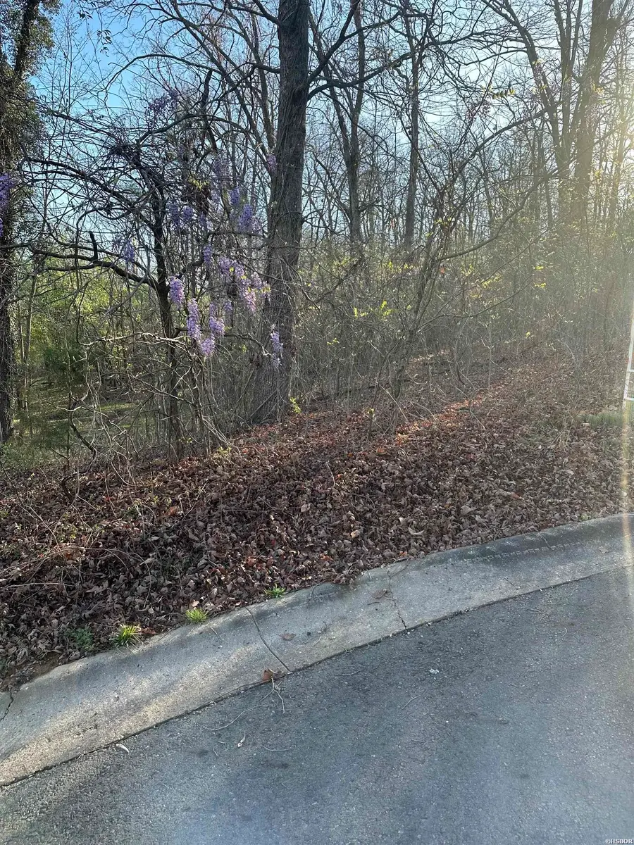 TBD Aprilgracecourt, Hot Springs, AR 71901 - #3