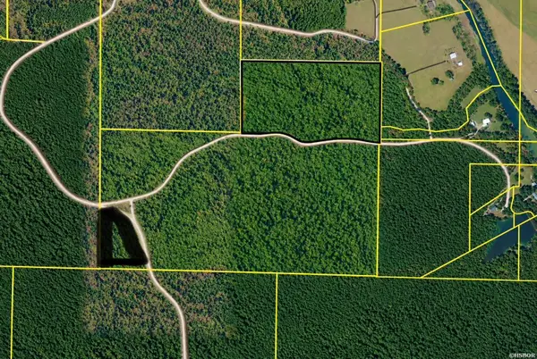 TBD (6) Manfred Road, Norman, AR 71960