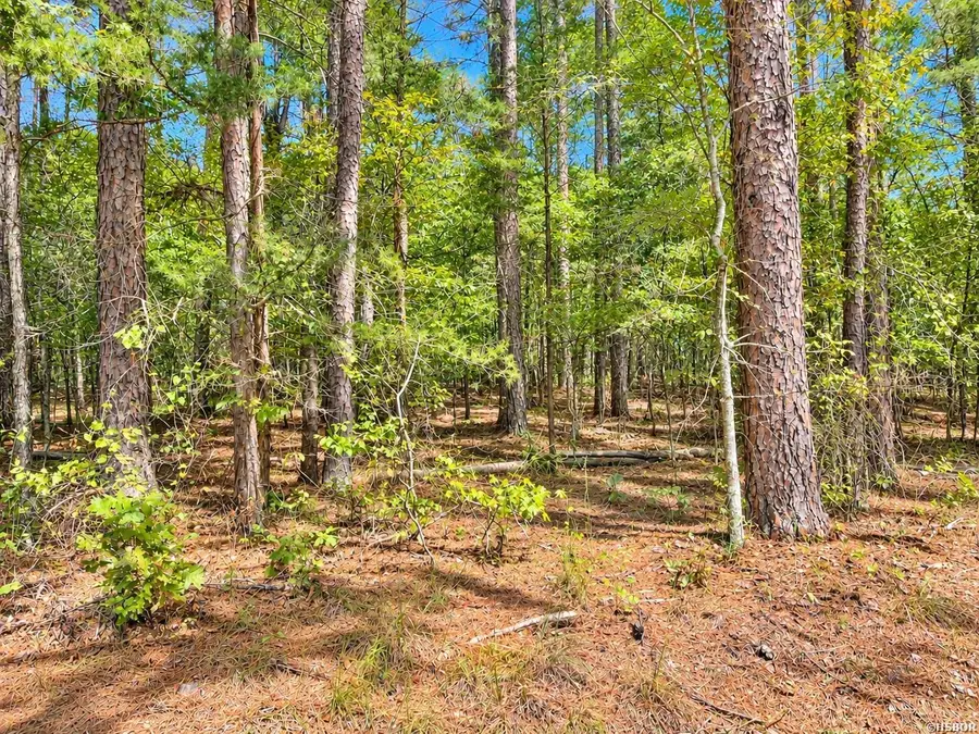 TBD (6) Manfred Road, Norman, AR 71960 - #3