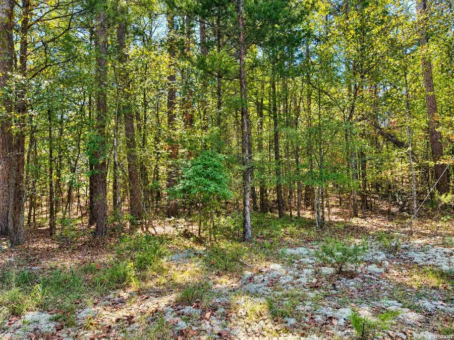 TBD (23) Manfred Road, Norman, AR 71960 - #2