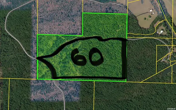 TBD (60) Manfred Road, Norman, AR 71960