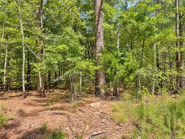 TBD Manfred Road, Norman, AR 71960