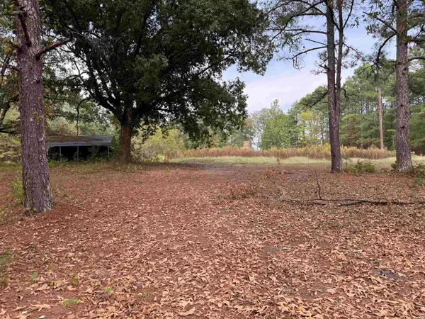 120 Barranger Road, Bismarck, AR 71919