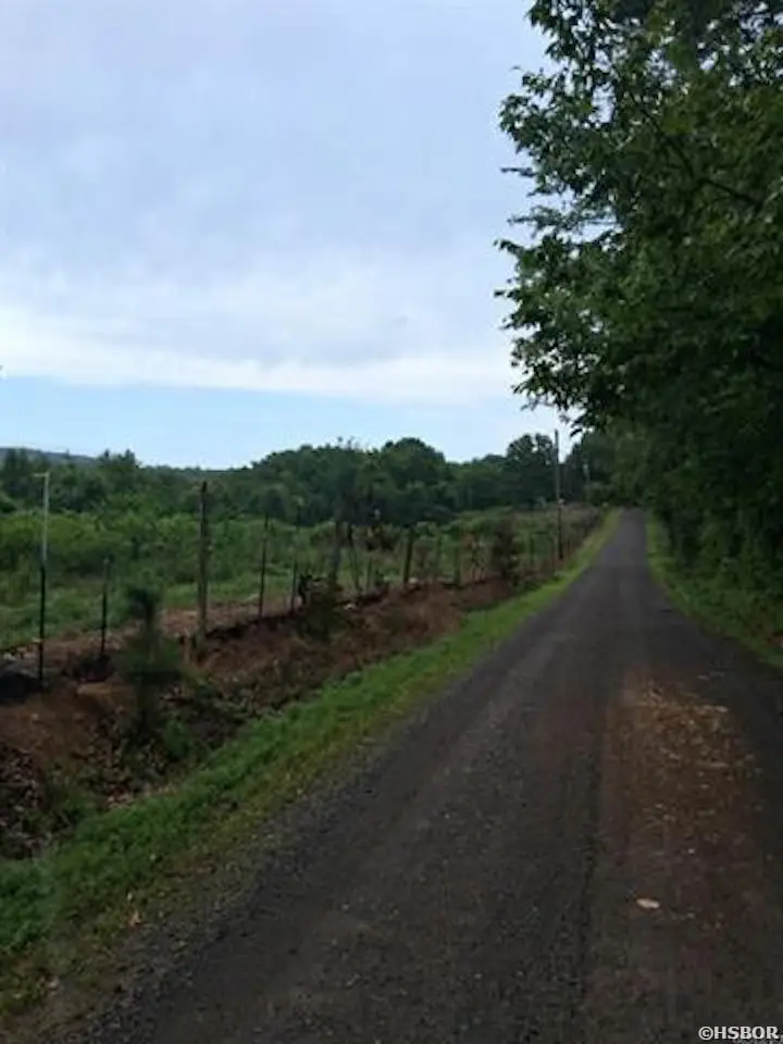 246 Burgess Road, Bonnerdale, AR 71933 - #2