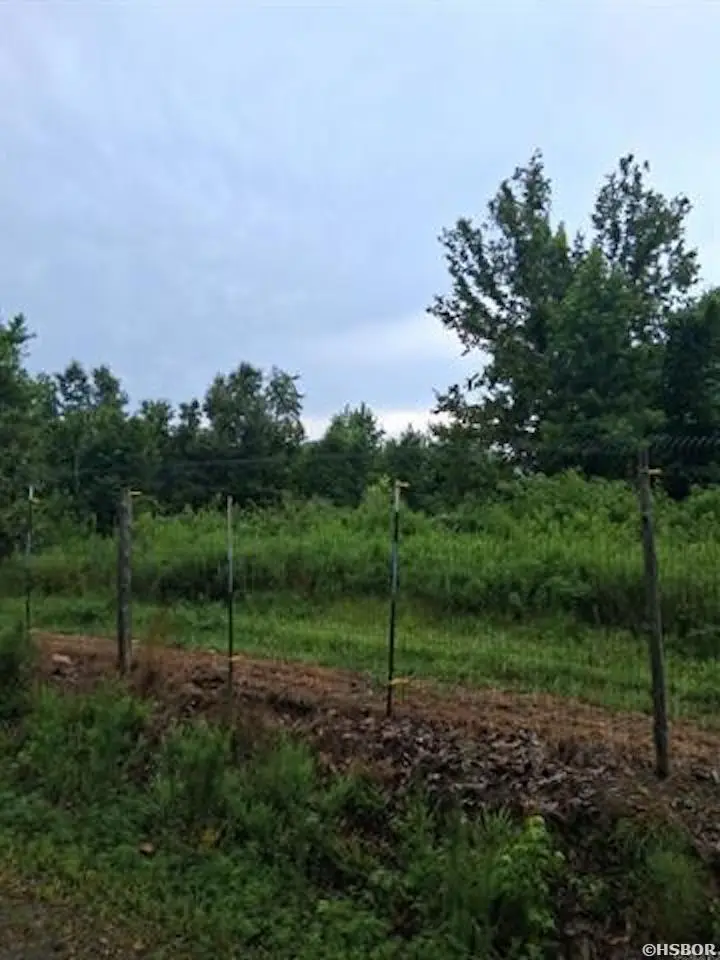 246 Burgess Road, Bonnerdale, AR 71933 - #3