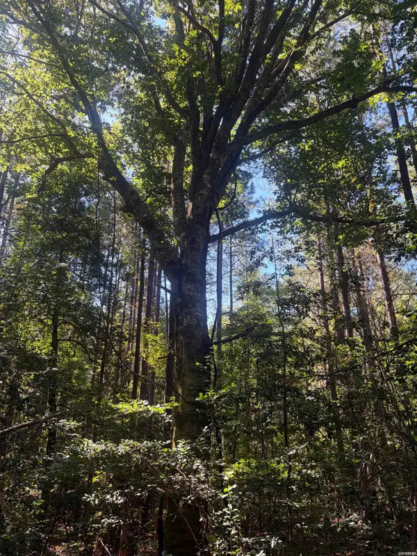 TBD Ridge Road, Malvern, AR 72104