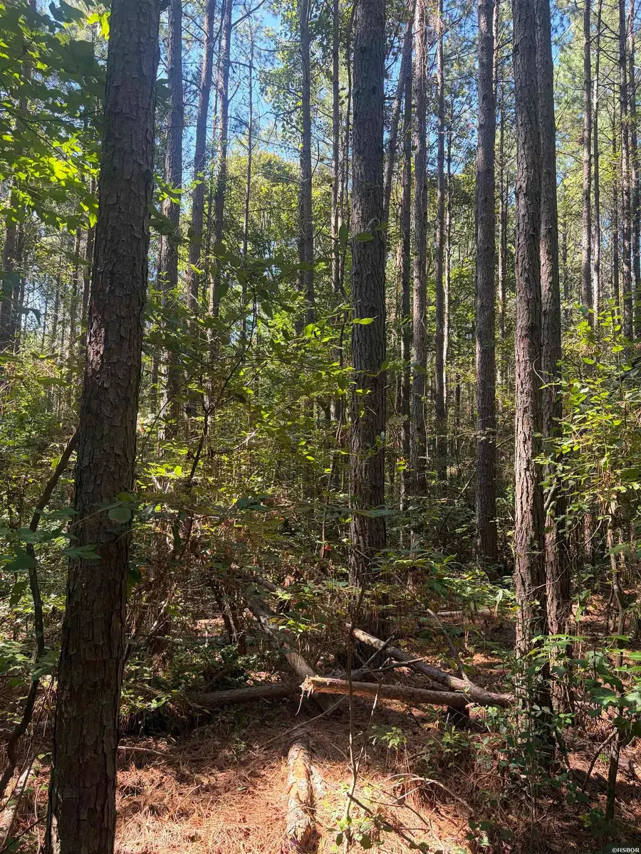 TBD Ridge Road, Malvern, AR 72104 - #3