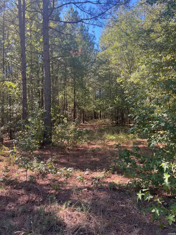 xx tract 11 Castle, Amity, AR 71921