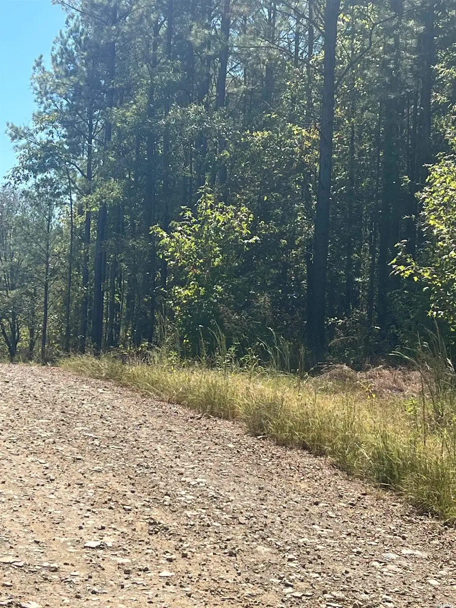 xx tract 11 Castle, Amity, AR 71921 - #2