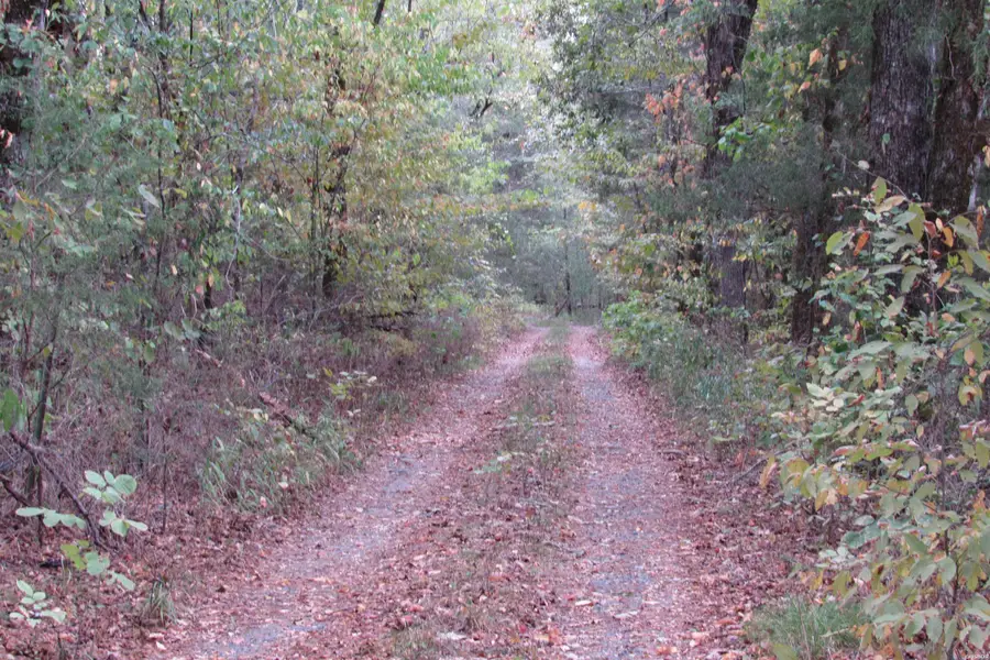 0 Walter Adams, Hale, AR 71956 - #2