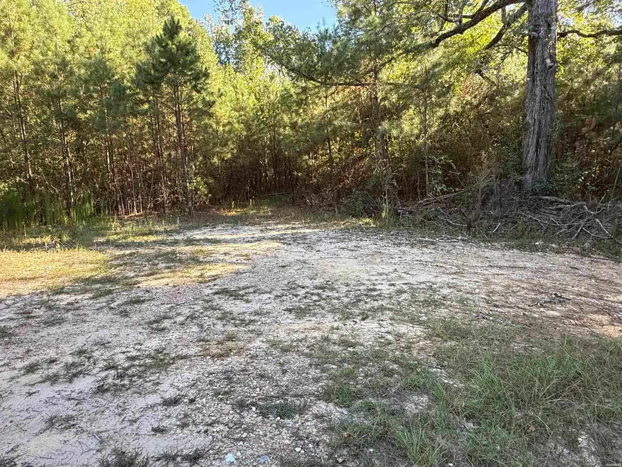 488 Central Road, Arkadelphia, AR 71923 - #2