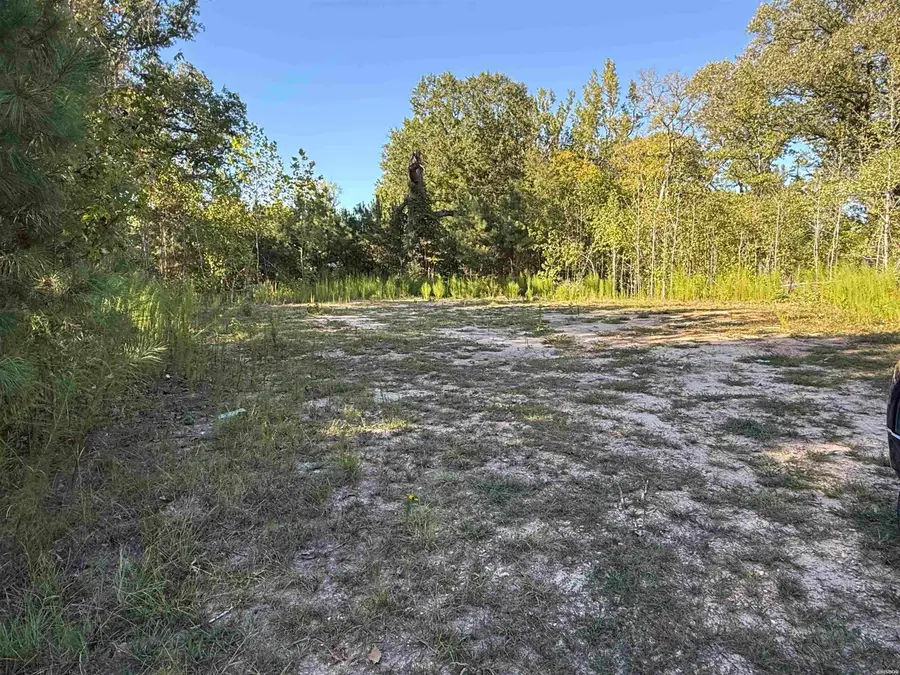 488 Central Road, Arkadelphia, AR 71923 - #3