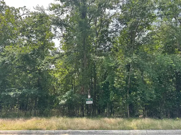 224 Dellmere Drive #Lot 17 Blk 6, Hot Springs, AR 71913