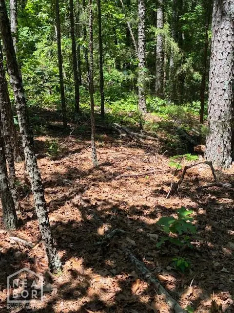 12 Castano (lot 12) Lane, Hot Springs Village, AR 71909 - #2