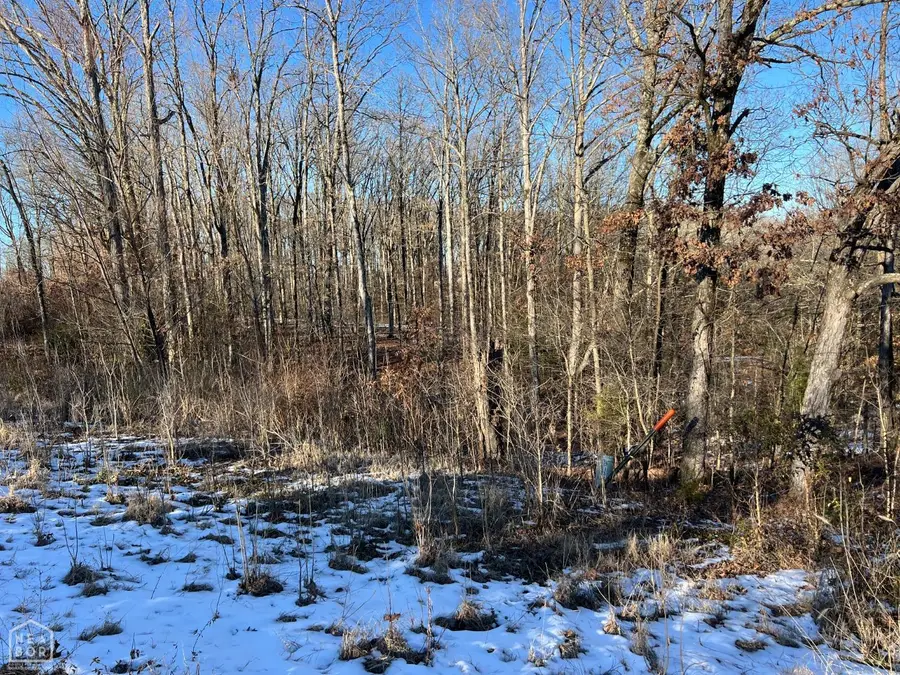 3 County Rd 368, Wynne, AR 72396 - #2