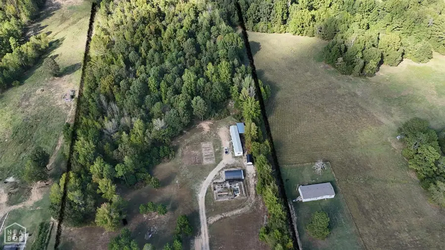 2831 Greene 707 Road, Paragould, AR 72450 - Image #2