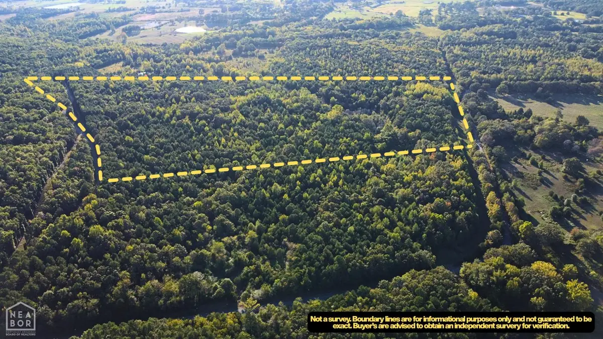 51 Shelton Road, Bee Branch, AR 72013 - Image #1