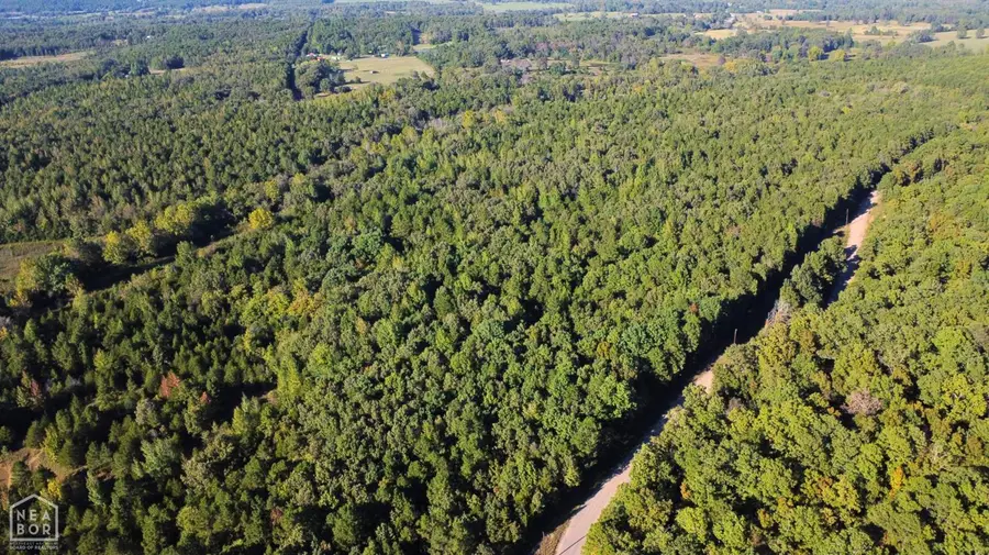 51 Shelton Road, Bee Branch, AR 72013 - Image #2