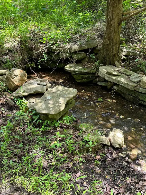 1937 Mc 5019, Yellville, AR 72687