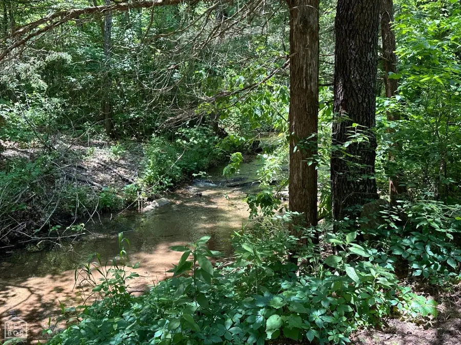 1937 Mc 5019, Yellville, AR 72687 - Image #3