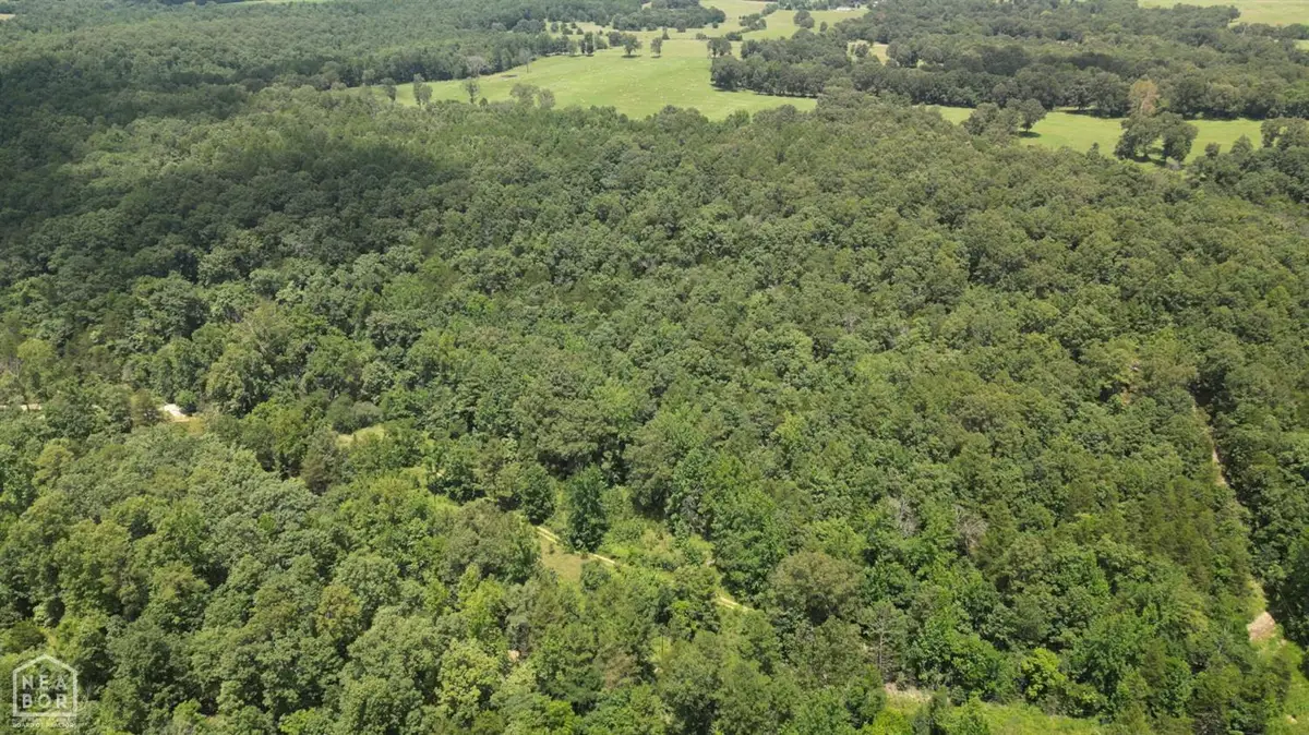 881 Driftwood Drive, Pineville, AR 72566 - Image #1