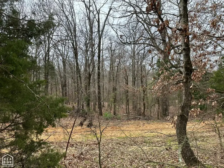 0 Raby Rd #Lot 4, Harrisburg, AR 72432 - Image #3