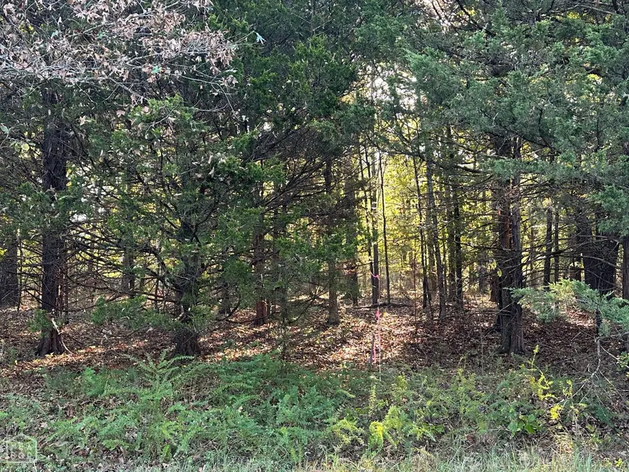 1 Hand Cove Road, Elizabeth, AR 72531 - Image #2