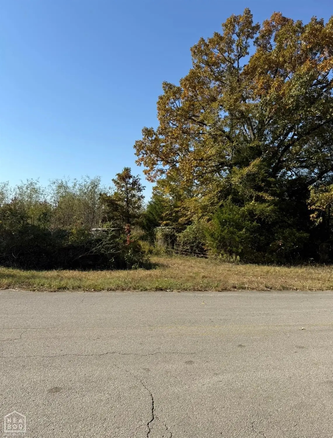 718 County Road 406, Jonesboro, AR 72404 - Image #1