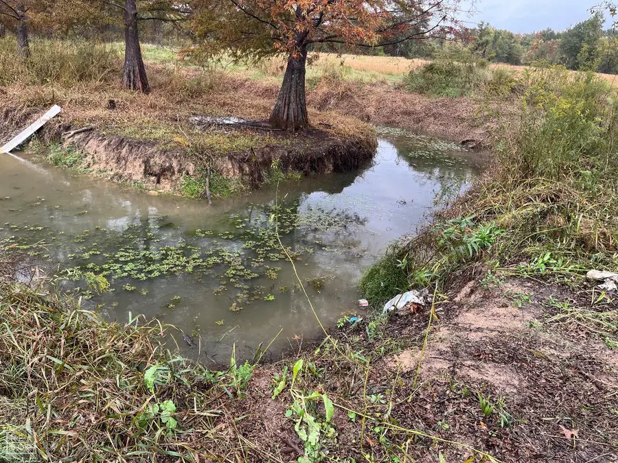 2220 Duck Levee Road, Biggers, AR 72413 - #3