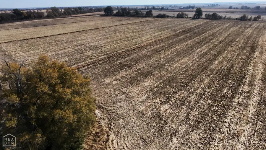 1940 Hwy 90, Knobel, AR 72435 - Image #2