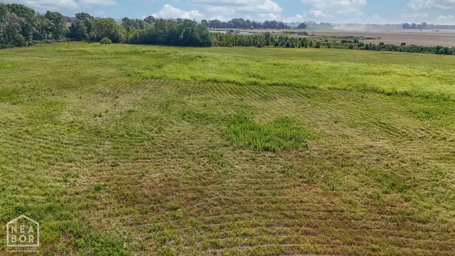 14 Highway 463 #acres, Bay, AR 72411 - Image #3