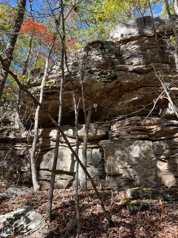 0 Dump Mountain Rd, Mountain View, AR 72560