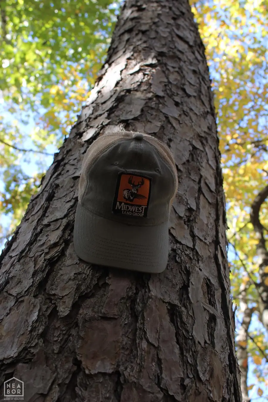 0 Dump Mountain Rd, Mountain View, AR 72560 - Image #3