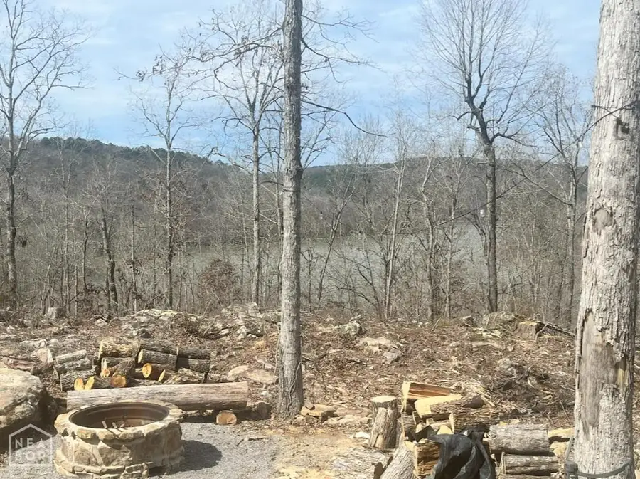 915 Canyon Rd, Higden, AR 72067 - Image #2